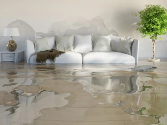 The Essential Guide to Water Damage Restoration: Navigating Recovery in Willis Texas