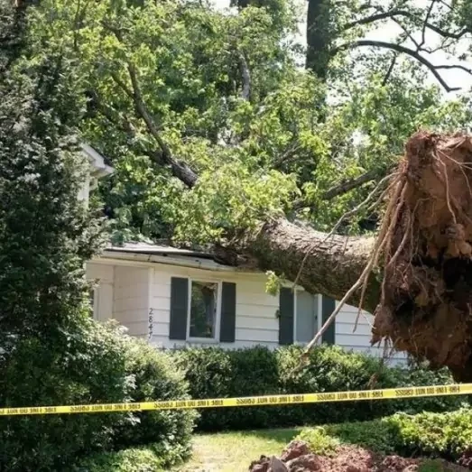 Storm Damage Repair Services in North Houston, TX